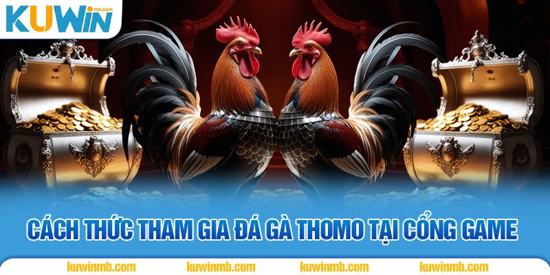 Cách thức tham gia đá gà thomo tại cổng game