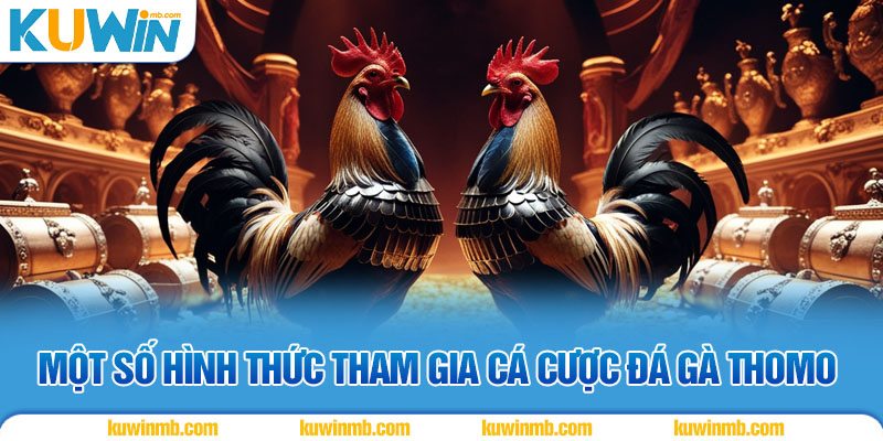 Một số hình thức tham gia cá cược đá gà thomo